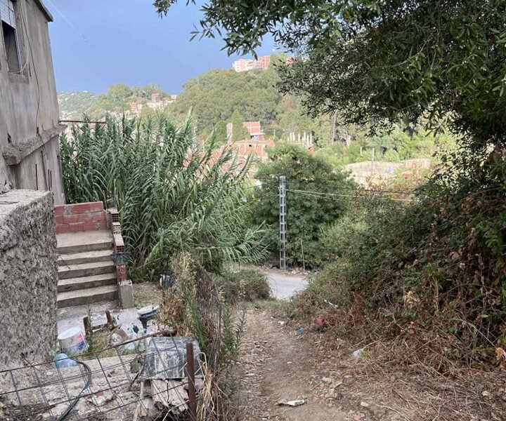 Terrain 216 m² – Collo – Emplacement Idéal – Bon Prix